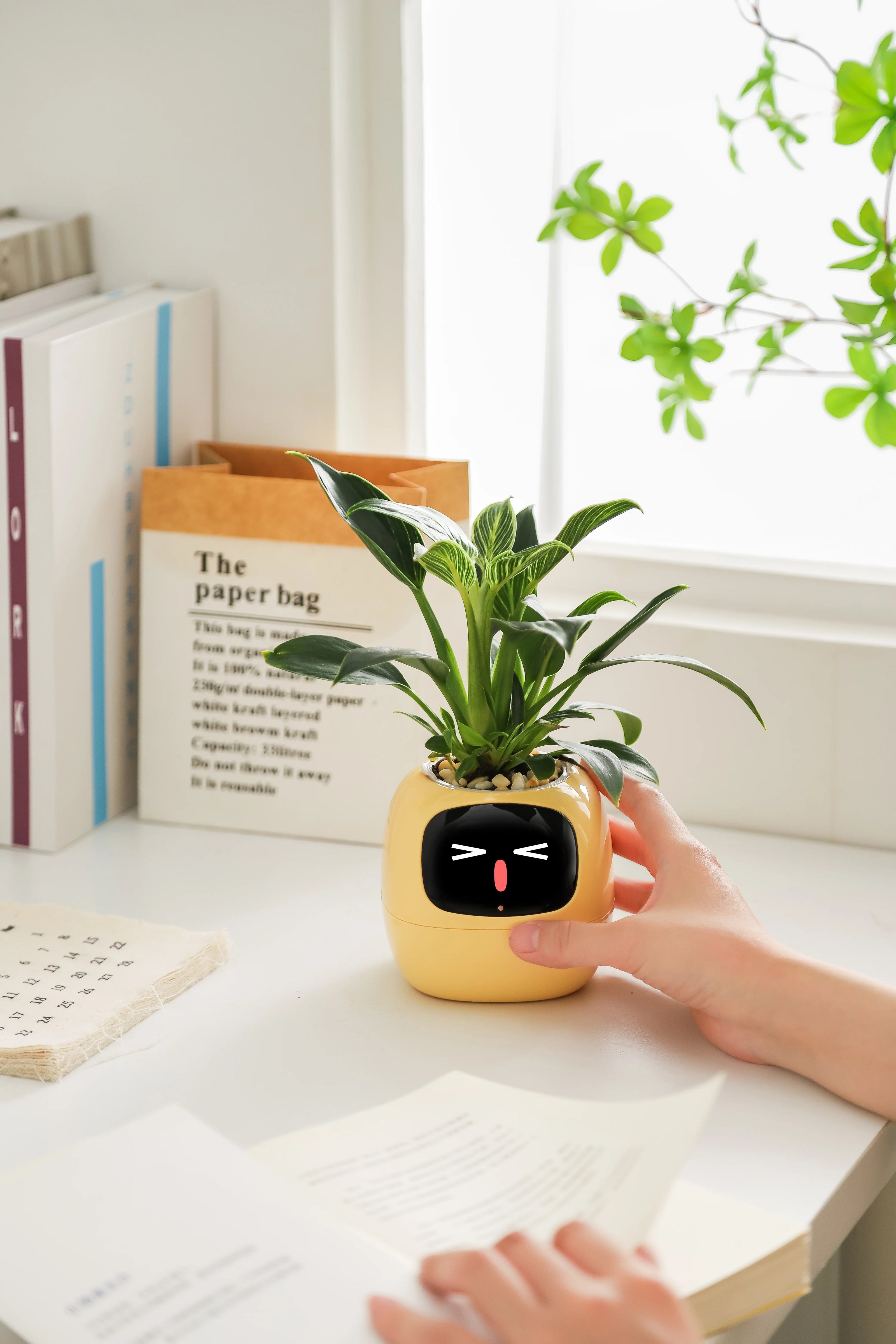 Decorative smart planter with AI technology and expressive faces, perfect for modern interiors.