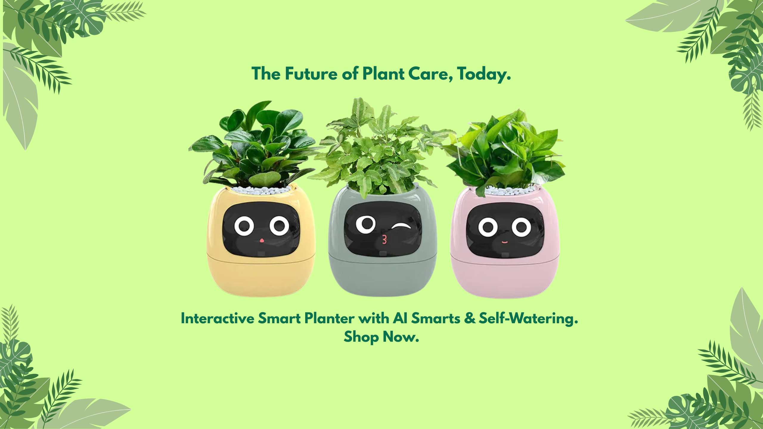 Smart plant pot designed for beginners and gardening enthusiasts