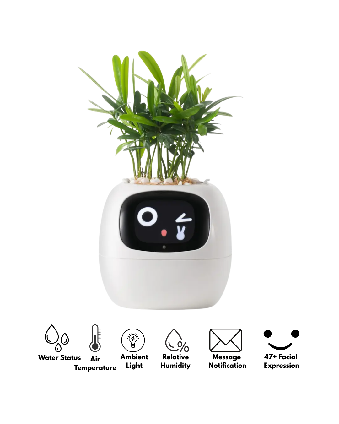 Smart indoor planter with AI technology and 7 sensors to monitor plant care, fun and unique home decor accessory.