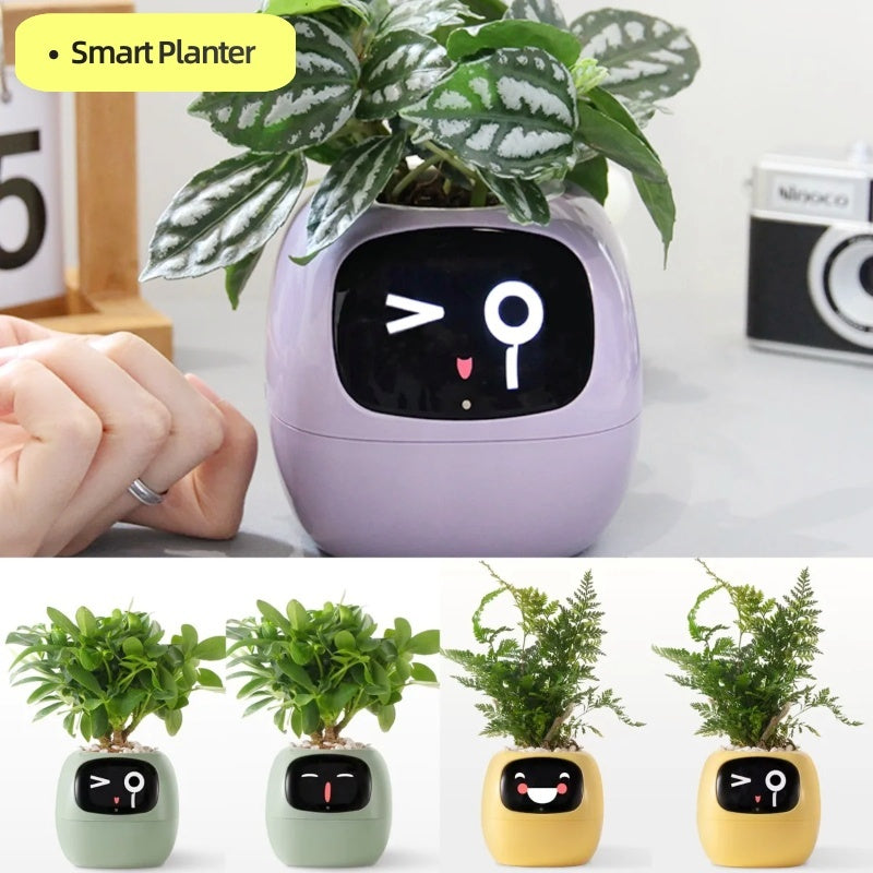 Modern interactive AI plant pot with playful digital faces, combining technology and nature for stress-free plant care.